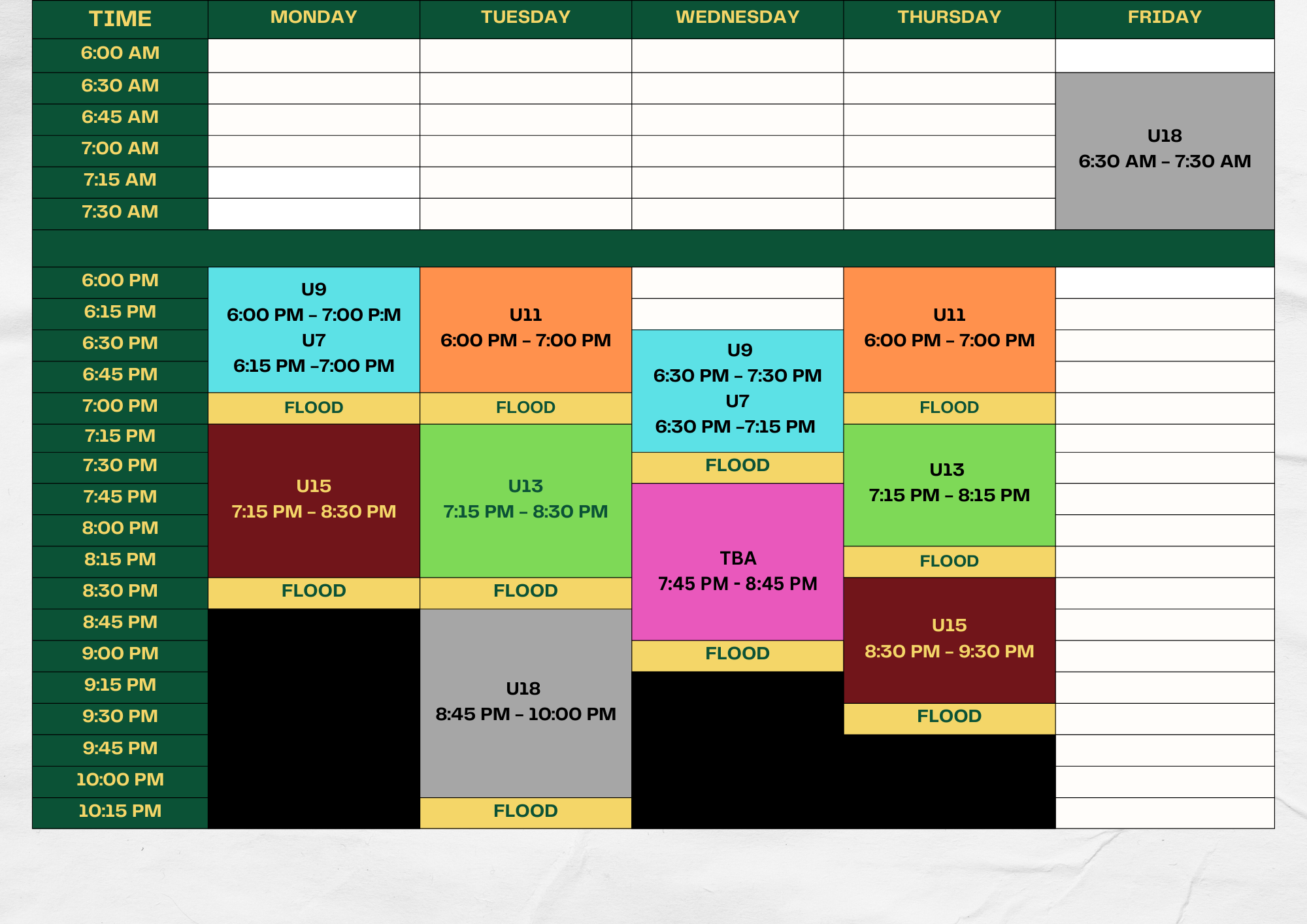 Violet Red Colorful Bold Cheerful Printable Fitness Class Gym Weekly Schedule A4 Document (4)